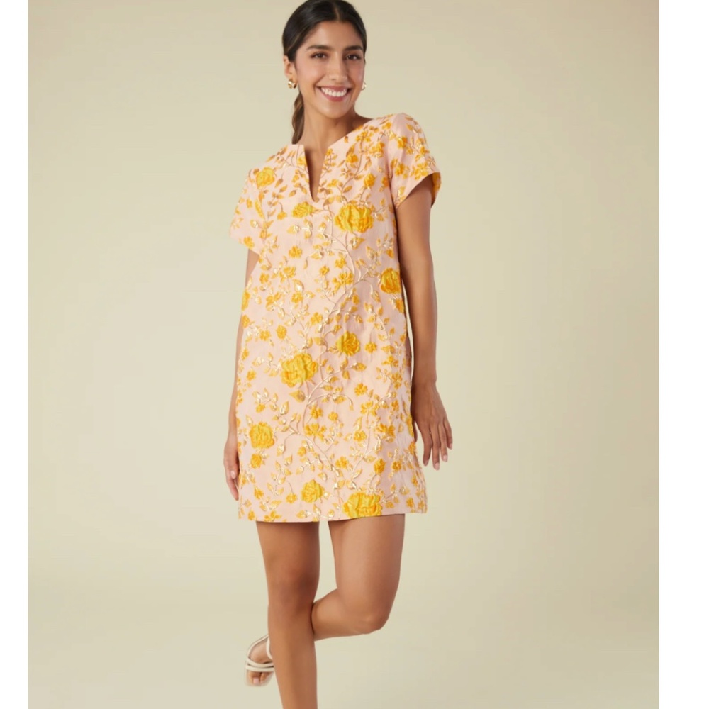 Abbey Glass XS Lulu Dress Harvest Jacquard nwt
